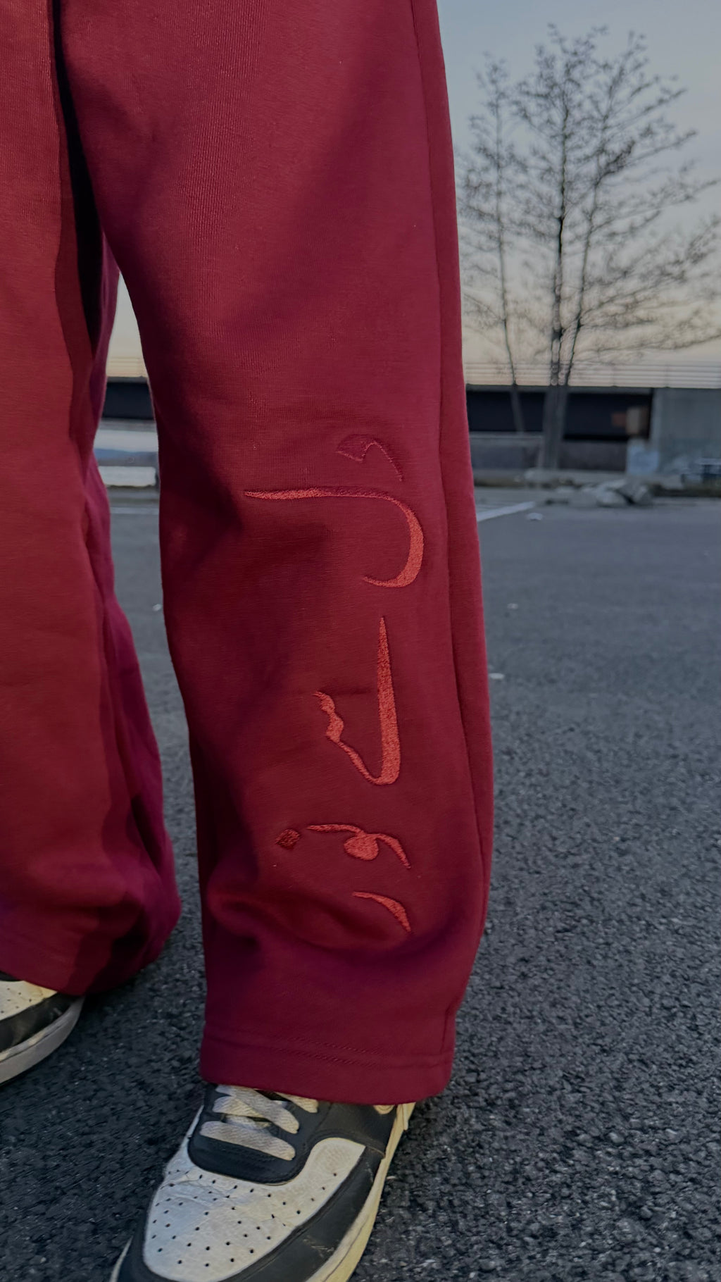 "Dil Se Noor" Pants
