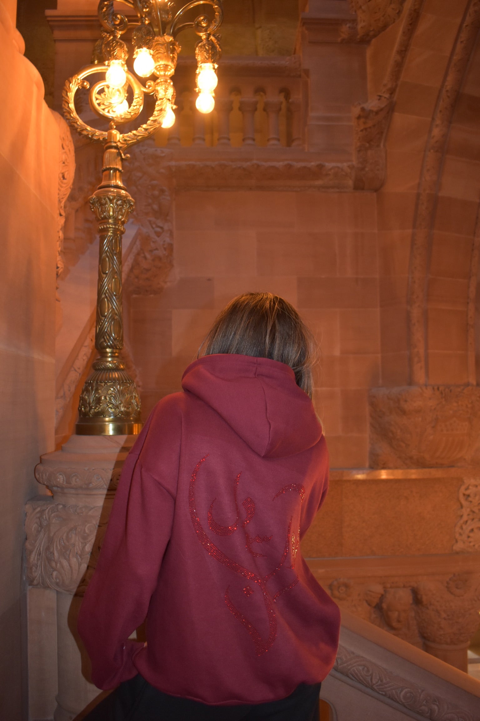 “Dil Se Noor” Chamkeela Hoodie