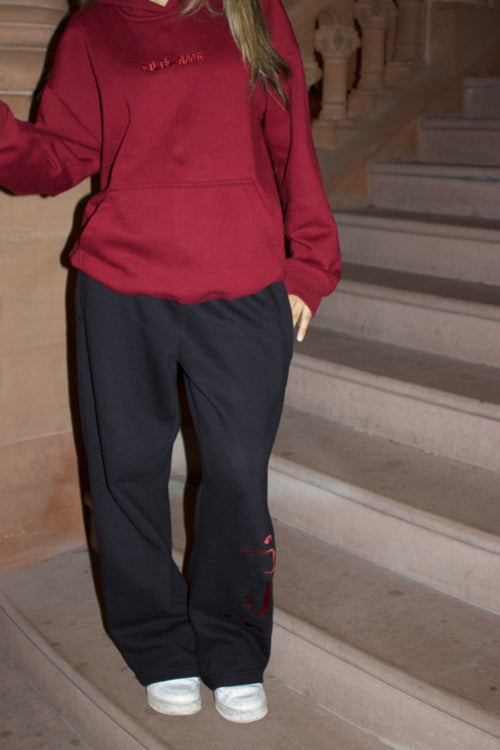 "Dil Se Noor" Pants